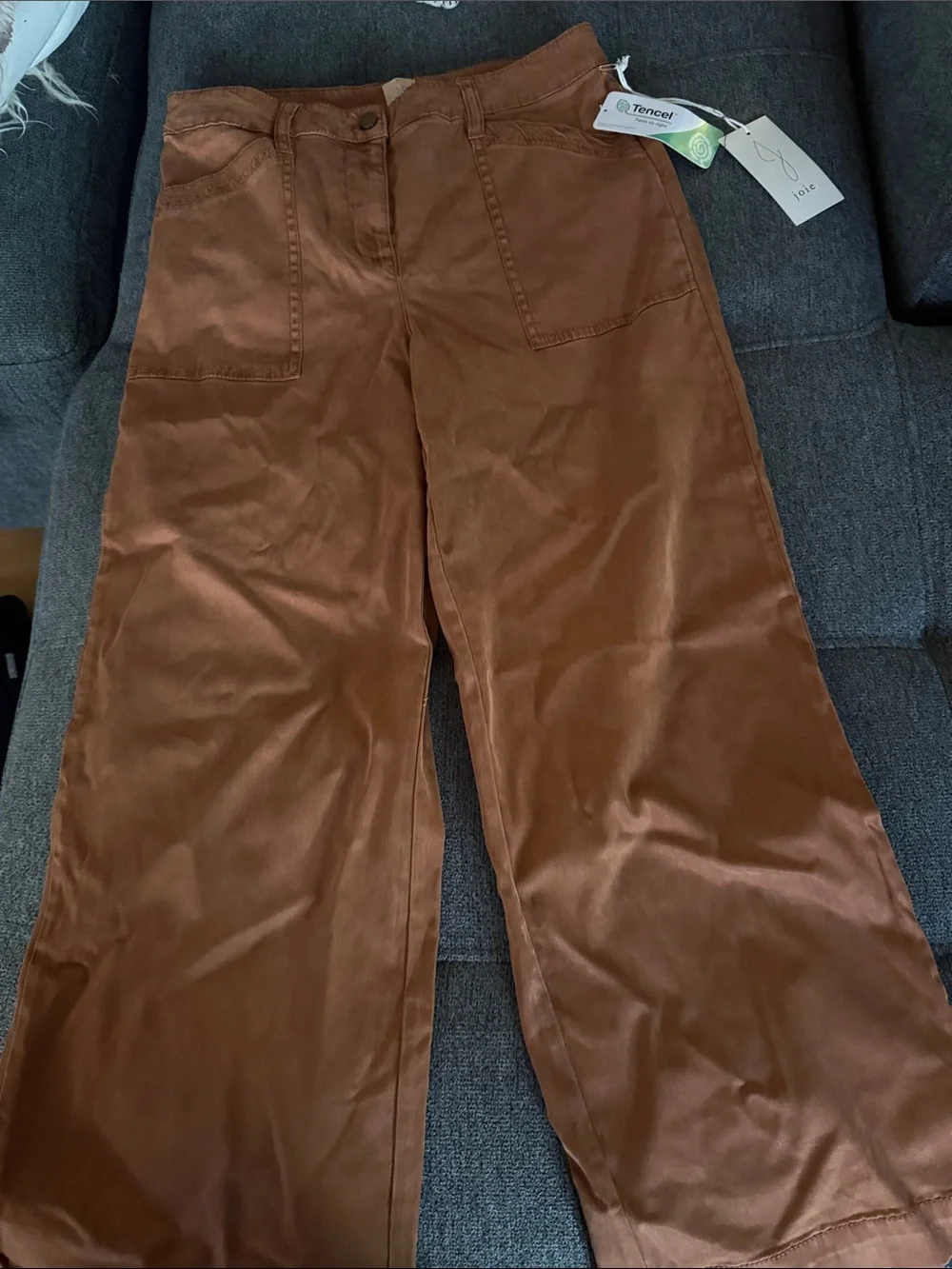 Joie Wide-Leg Tencel Pants - Brown - Picture 1 of 7